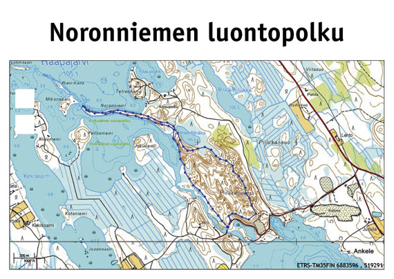 Noronniemen luontopolku